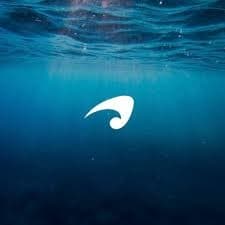 wave