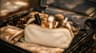 Best Student Discounts for Beauty Brands