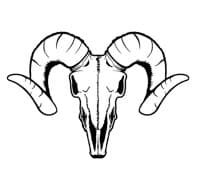 thetriggerguyusa-coupon-code-itscoupons