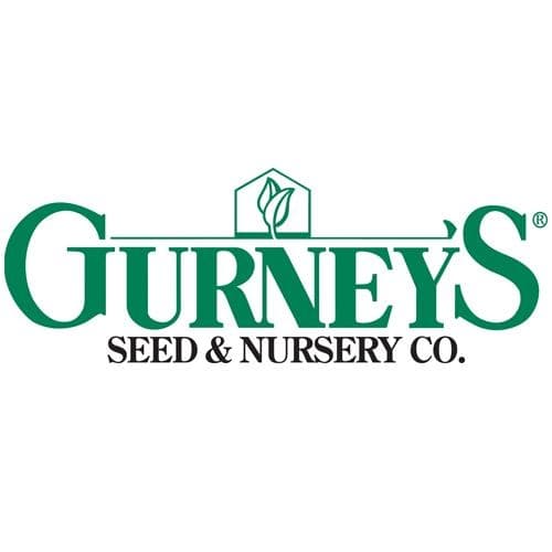 Gurneys