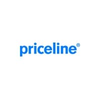 priceline car rental