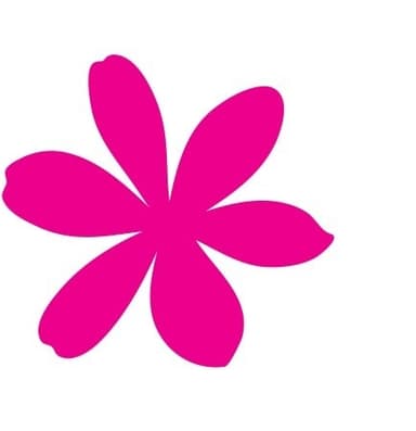 Petals Network NZ Coupons & Deals petals-network-nz-coupon-code-itscoupons