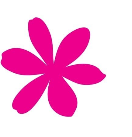 petals-network-nz-coupon-code-itscoupons