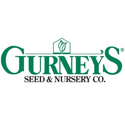 Gurneys