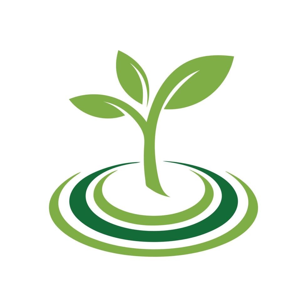 seedling