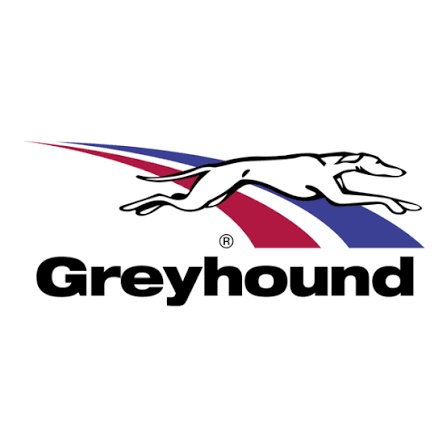 greyhound